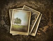 pic of  photo  - Vintage photos on dark damask background - JPG 