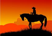 pic of horse  - Vector silhouette of cowboy  riding in the desert - JPG 