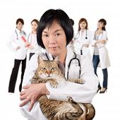 stock photo of animals  - Asian animal doctor hold a cat and stand in front of her team at white background - JPG 