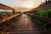foto of nature  - boardwalk on beach - JPG 