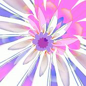 stock photo of dust wrapper  - lilac abstraction flower - JPG 