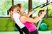 picture of fitness  - Group of people exercising with suspension trainer in fitness club or gym - JPG 