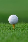 stock photo of golf  - get ready golf ball on tee - JPG 