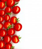 stock photo of yield  - bright red tomatoes isolated on a white background - JPG 