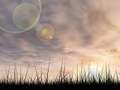 pic of sunset  - Concept or conceptual black grass or plant field or meadow silhouette in summer or spring evening over a sky at sunset with clouds background - JPG 