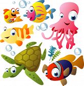 picture of animals  - vector sea animals - JPG 