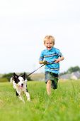 foto of dog  - Young boy runs in a green field with his pet collie - JPG 