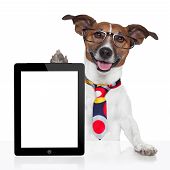 picture of notebook  - business dog tablet pc ebook computer notebook - JPG 