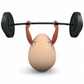 stock photo of health  - Egg holds a dumbbell - JPG 