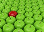 image of health  - One red apple selected on the background of green apples - JPG 