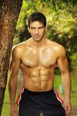 picture of outdoor  - Natural portrait of a very fit male model outdoors - JPG 