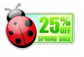 foto of percentage  - 25 percentages off spring sale banner  - JPG 