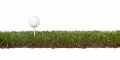 image of golf  - cross section of grass with golf ball on tee - JPG 