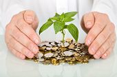 stock photo of investment  - Protecting a good investment and making money concept  - JPG 