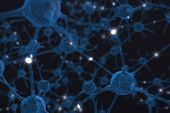 image of mind  - Neurons the Power of the mind in action - JPG 
