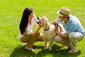 stock photo of dog  - Young happy couple playing with Labrador dog smiling in park - JPG 