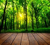 stock photo of interior  - wood textured backgrounds in a room interior on the forest backgrounds - JPG 