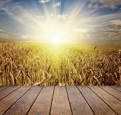 stock photo of interior  - wood textured backgrounds in a room interior on the sky backgrounds - JPG 