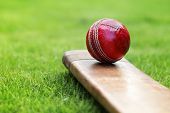 stock photo of rest  - Cricket ball resting on a cricket bat on green grass of cricket pitch - JPG 