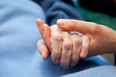 stock photo of hand  - A young hand touches and holds an old wrinkled hand - JPG 