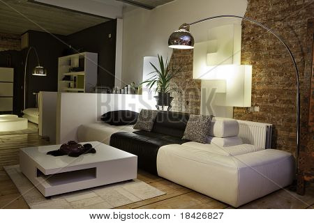 Picture or Photo of Modern living room with design furniture