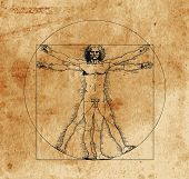 picture of man  - A highly stylized drawing of vitruvian man with crosshatching and sepia tones - JPG 
