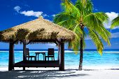 pic of beach  - Tropical gazebo with chairs on amazing beach with palm tree - JPG 