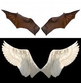 picture of religion  - devil and angel wings - JPG 