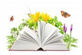 stock photo of reading  - Book of nature - JPG 