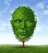 foto of health  - Personal development and personality growth as a medical symbol of psychology as a tree in the shape of a front facing human head as intelligence and social thinking for mental behavior health - JPG 