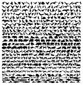 stock photo of animals  - The views of more than 500 animals silhouette - JPG 
