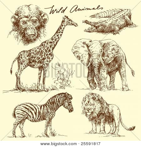 Picture or Photo of Wild animals