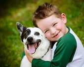 foto of animals  - Child lovingly embraces his pet dog - JPG 
