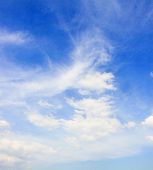 picture of blue sky  - Blue sky and white cloud - JPG 