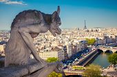 stock photo of france  - Chimera on Notre Dame Cathedral - JPG 