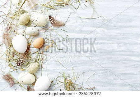 Poster: Easter egs and feathers in