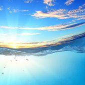 image of sunset  - design template with underwater part and sunset skylight splitted by waterline - JPG 