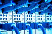 image of isp  - close up of network cables connected to switch - JPG 