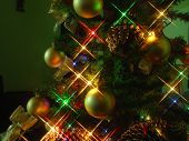 picture of fraternity  - christmas tree at night - JPG 
