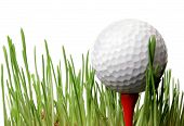 stock photo of golf  - Golf ballon tee in grass with white background - JPG 