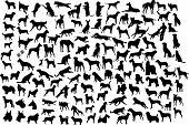 picture of dog  - Lots of silhouettes of different breeds of dogs in action and static - JPG 