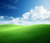 picture of blue sky  - field of grass and perfect blue sky - JPG 