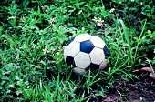 Old soccer ball was dropped at grass.