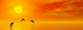 picture of sunset  - Shadow of three small dolphins jumping in the ocean at the sun by red sunset - JPG 