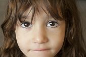 foto of youngster  - Hispanic child with soulful brown eyes gazing at viewer - JPG 