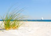 image of beach  - Beach sand dune grasses and sailboat - JPG 
