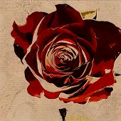 stock photo of art  - art floral vintage colorful background - JPG 