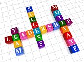 foto of leadership  - 3d colour boxes crossword  - JPG 