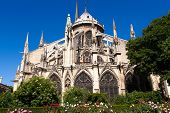 pic of france  - Notre Dame de Paris Cathedral - JPG 