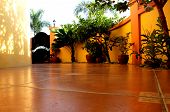 foto of tiles  - Tiled patio with ornamental plants and trees on it - JPG 
